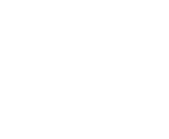 wizzy-prompt Logo